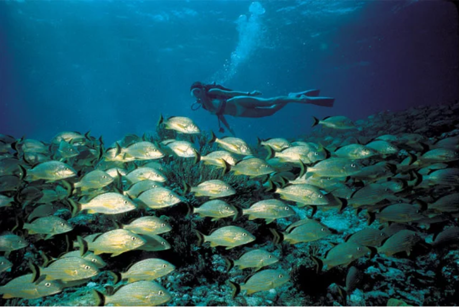 3. The Florida Keys